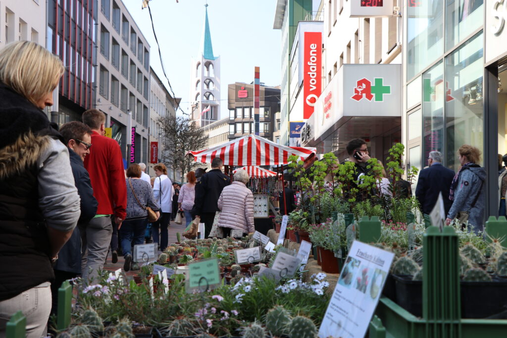 Am ersten April-Wochenende findet ein Blumen- und Gartenmarkt in Gelsenkirchen statt. Das erwartet die Besucherinnen und Besucher.