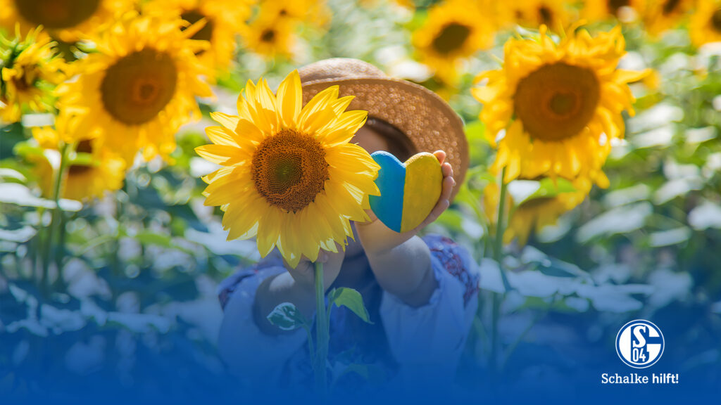 Die Sonnenblume ist die Nationalpflanze der Ukraine und symbolisiert Leben, Sicht und Sonne. Das gleichnamige Integrationsprojekt wird von Schalke unterstützt.
