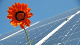 Photovoltaik und Steuern