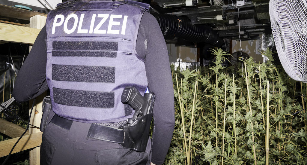 Wuppertaler Strafverfolger entdecken Cannabisplantage
