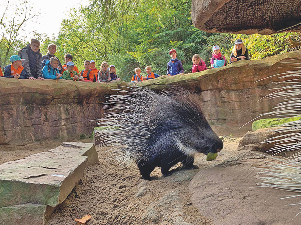 Zoom Erlebniswelt bietet im Herbst „Ferien im Zoo“ an