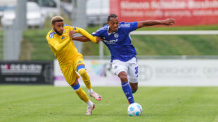 sylla, schalke, gegen leeds, foto schalke