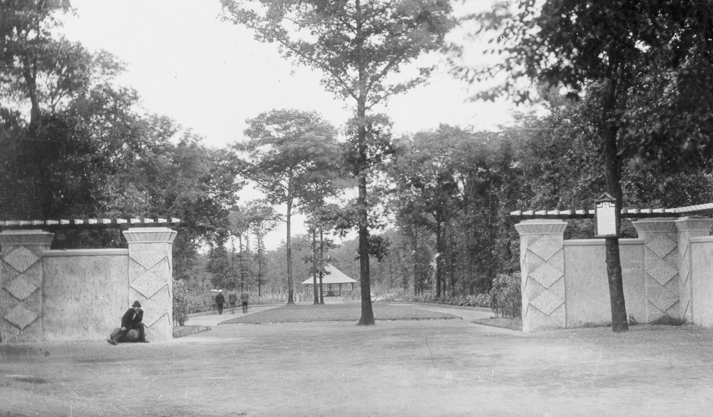 Schautafeln erinnern an 100 Jahre Stadtwald Buer